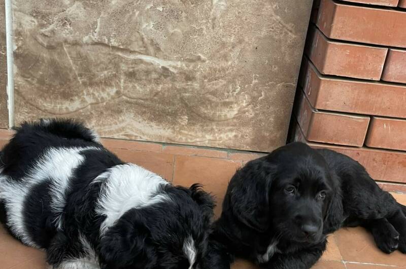 Изображение Изображение гостиницы "Гостевой дом «Апельсин»" #4 #4