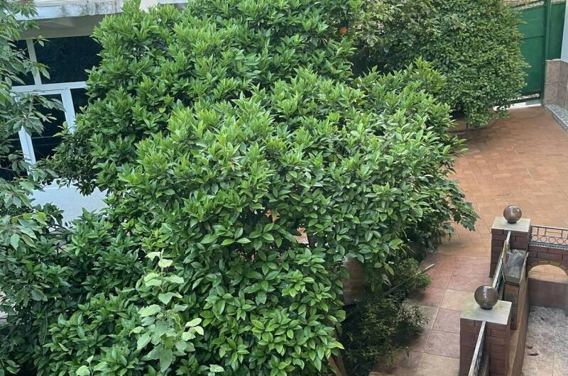 Изображение Изображение гостиницы "Гостевой дом «Апельсин»" #6 #6