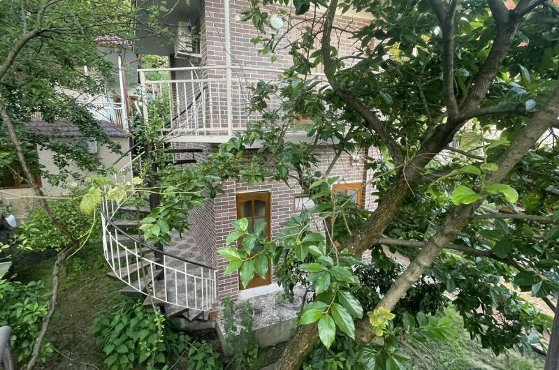 Изображение Изображение отеля / гостиницы "Гостевой дом «Апельсин»" #11 #9