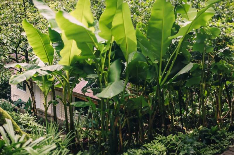 Изображение Изображение гостиницы &quot;Гостевой дом «LARA»&quot; #6 #6