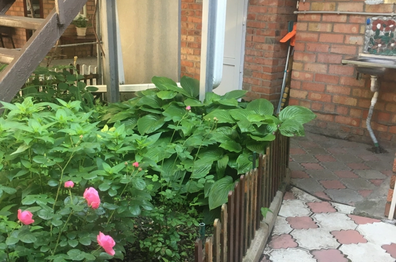 Изображение Изображение гостиницы &quot;Гостевой дом «У Моря»&quot; #3 #3