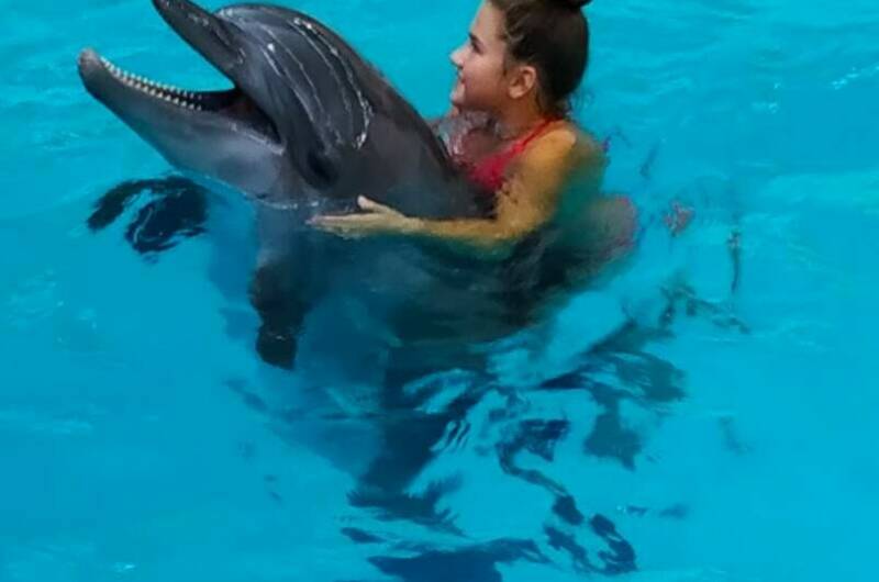 Изображение Изображение отеля / гостиницы "Гостевой дом «Троя»" #10 #8