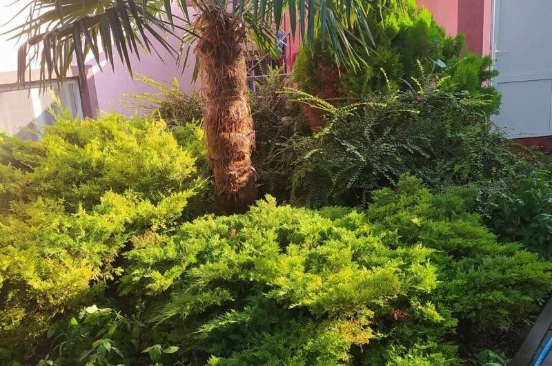 Изображение Изображение гостиницы &quot;Частный сектор «На Советской»&quot; #8 #8