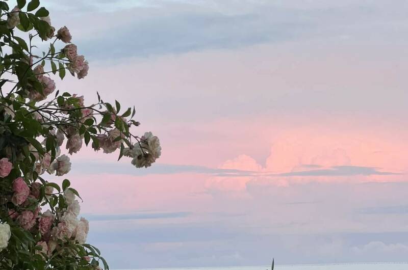 Изображение Изображение гостиницы "Гостевой дом «Олимпия»" #8 #8