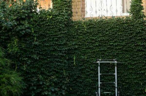 Изображение Изображение гостиницы &quot;Домовладение Краснофлотская 67&quot; #2 #2