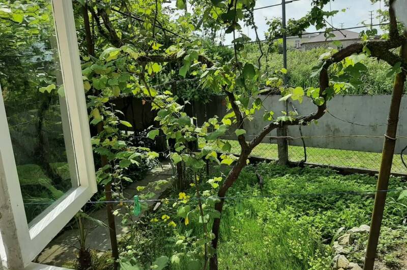 Изображение Изображение квартиры / апартамента "Дом под ключ «Домик у Маяка»" #10 #8