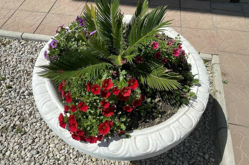 Изображение Изображение отеля / гостиницы "Гостевой дом «Фортуна»" #10 #8