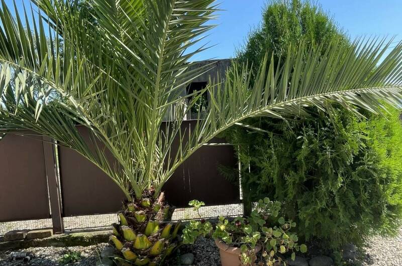 Изображение Изображение отеля / гостиницы "Гостевой дом «Фортуна»" #11 #9