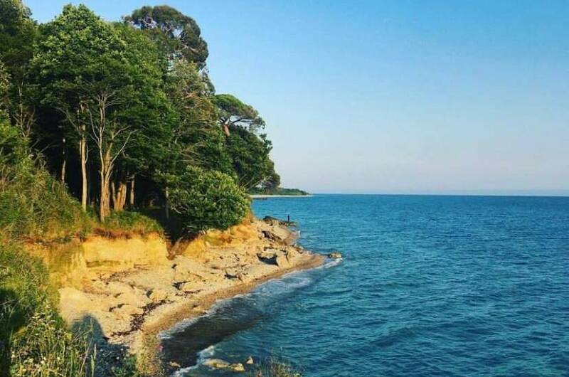 Изображение Изображение квартиры "Апартаменты под ключ в Хипсте" #2 #2