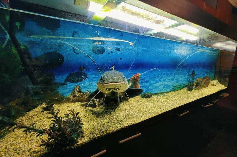 Изображение Изображение гостиницы &quot;Гостевой дом «Семья»&quot; #3 #3