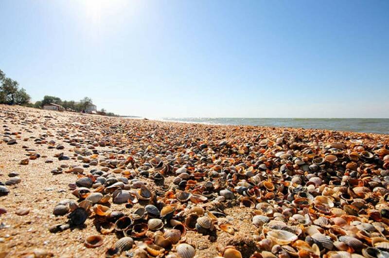 Изображение Изображение гостиницы &quot;Эко-отель «KORITZA»&quot; #8 #8