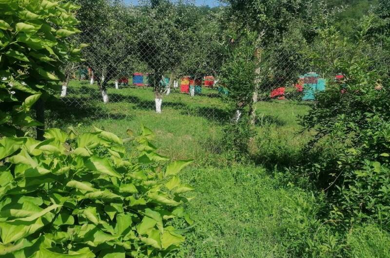 Изображение Изображение гостиницы &quot;Гостевой дом «Курорт»&quot; #6 #6