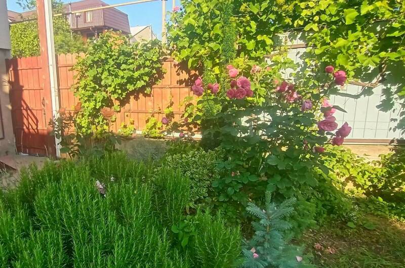 Изображение Изображение квартиры &quot;Дом под ключ на Волнухина&quot; #2 #2