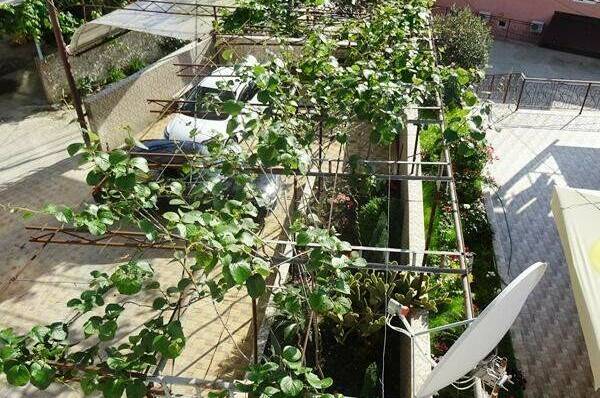 Изображение Изображение гостиницы "Гостевой дом «Ариф» корпус 2" #8 #8