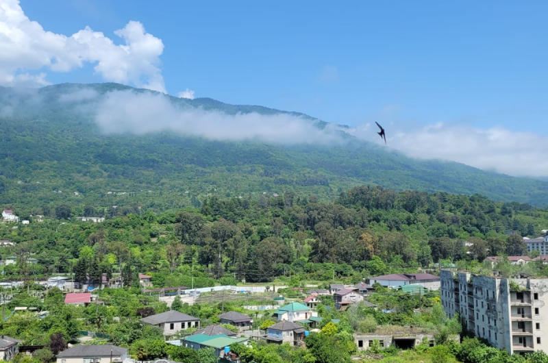 Изображение Изображение квартиры &quot;Однокомнатная квартира на Лакоба&quot; #1 #1