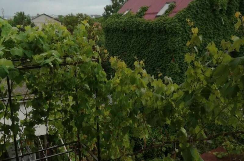 Изображение Изображение гостиницы &quot;Частный сектор на Самбурова&quot; #7 #7