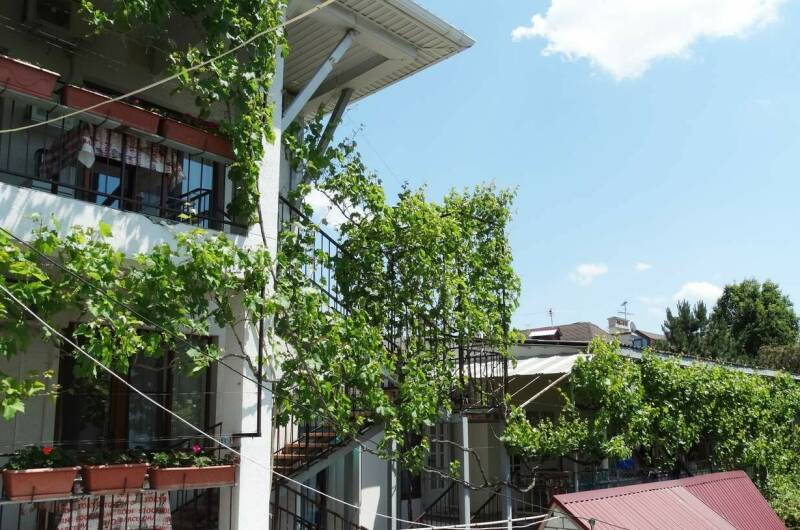 Изображение Изображение отеля / гостиницы "Частный сектор на Самбурова" #11 #9