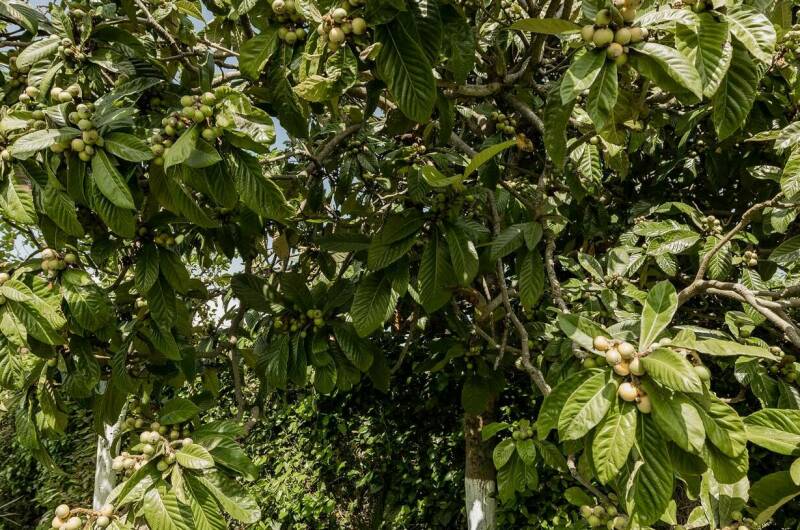 Изображение Изображение квартиры "Гостевой домик «Комарова»" #6 #6