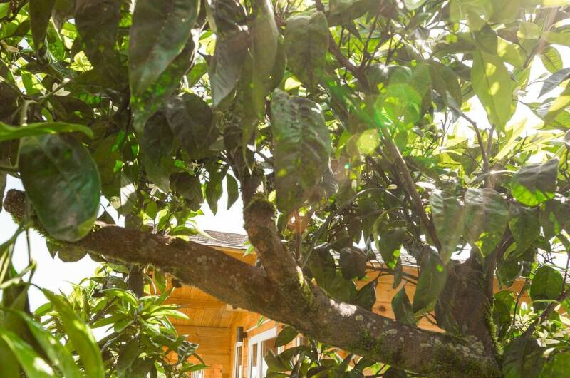 Изображение Изображение квартиры / апартамента "Гостевой домик «Комарова»" #11 #9