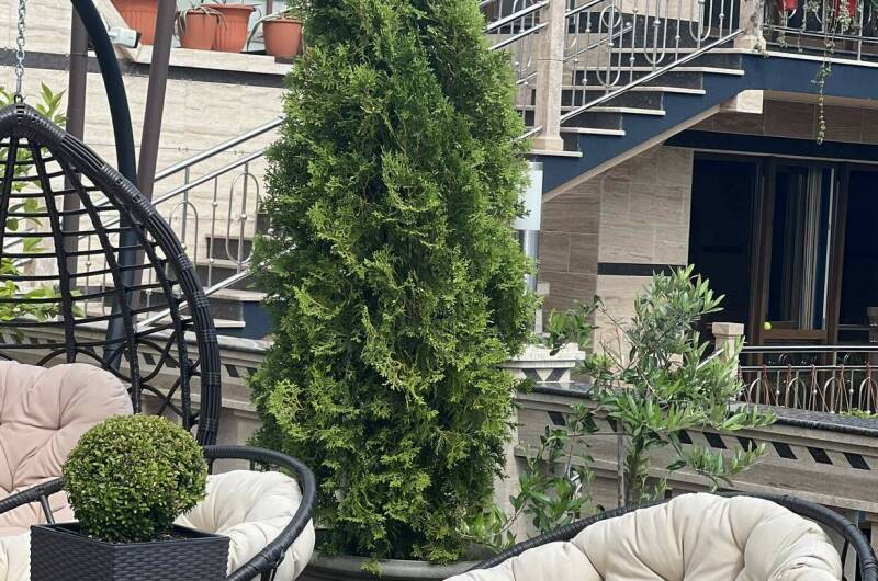 Изображение Изображение гостиницы "Апарт-отель «ТК»" #2 #2