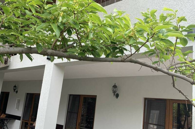 Изображение Изображение гостиницы &quot;Гостевой дом «У Людмилы»&quot; #2 #2