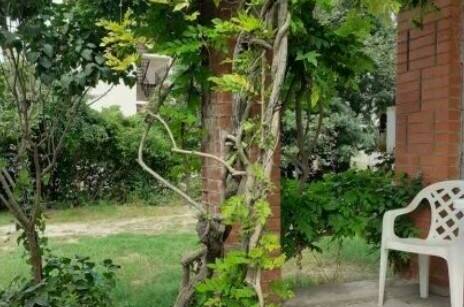 Изображение Изображение гостиницы &quot;Коттедж «Сияние»&quot; #4 #4