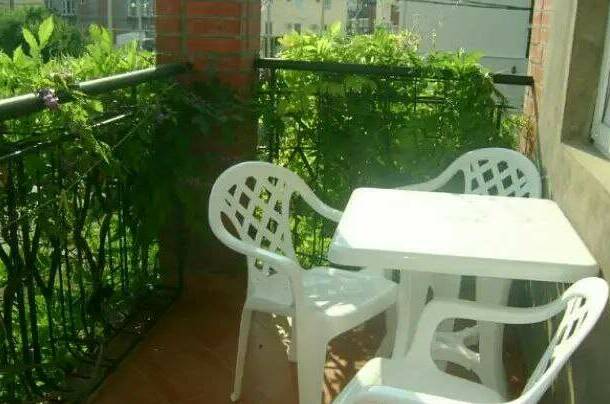 Изображение Изображение гостиницы &quot;Коттедж «Сияние»&quot; #5 #5