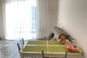 Изображение квартиры / апартамента "1-но комнатная квартира у моря"