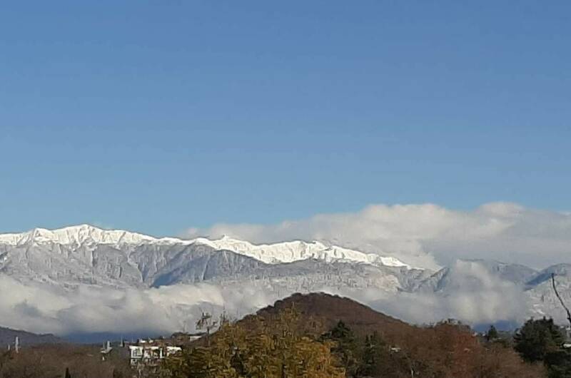 Изображение Изображение квартиры "Евродвушка в Сириусе на первой береговой" #4 #4