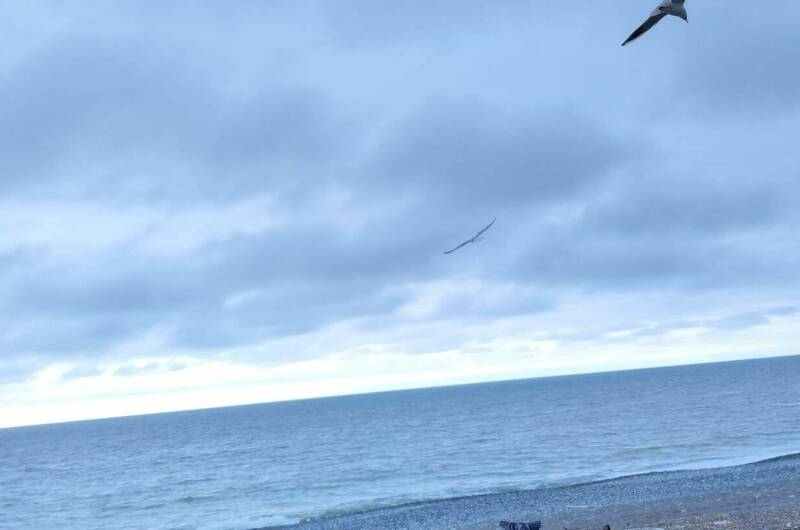 Изображение Изображение гостиницы "Гостевой дом «У Риты»" #7 #7