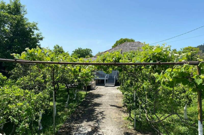 Изображение Изображение квартиры &quot;Трехкомнатный дом под ключ&quot; #5 #5