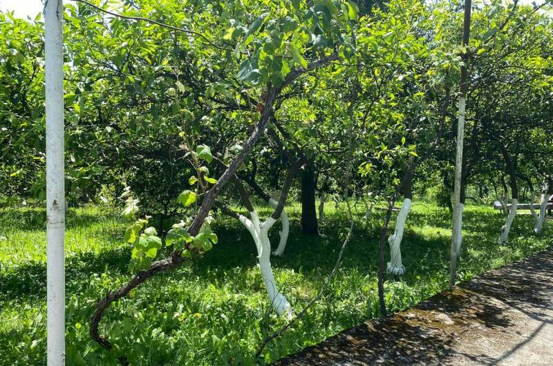 Изображение Изображение квартиры / апартамента "Трехкомнатный дом под ключ" #10 #8