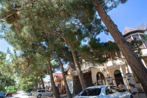 Изображение отеля / гостиницы "Гостевой дом «Татьяна»"