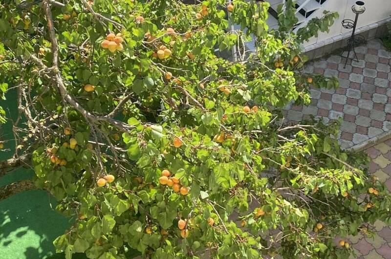 Изображение Изображение гостиницы &quot;Гостевой дом «Татьяна»&quot; #3 #3