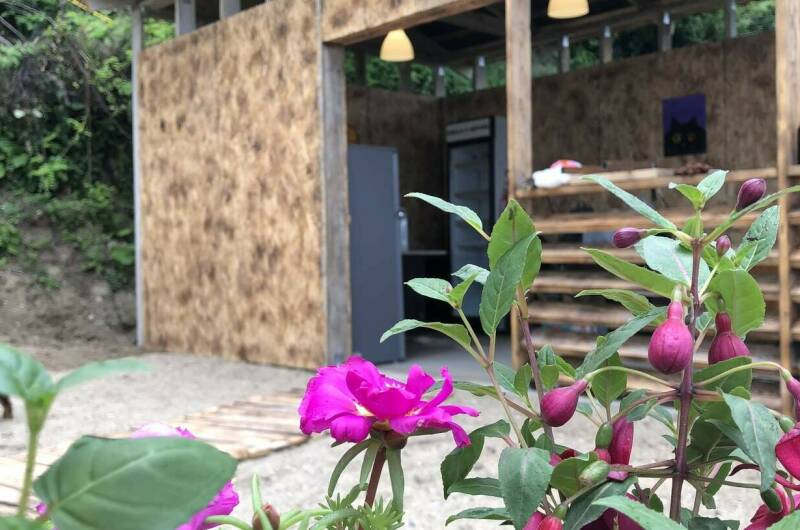 Изображение Изображение отеля / гостиницы "Гостевой дом «Пегас»" #11 #9