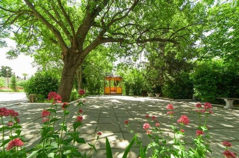 Изображение Изображение гостиницы &quot;Пансионат «А. П. Чехов»&quot; #2 #2