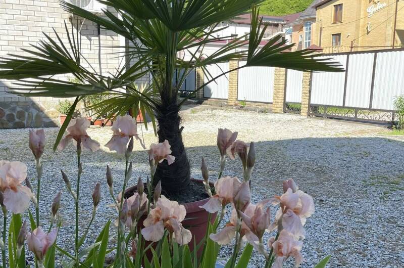 Изображение Изображение отеля / гостиницы "Частный дом «Солнечное место»" #11 #9