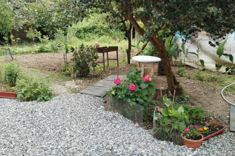 Изображение Изображение гостиницы "Гостевой дом на Шаумяна" #6 #6