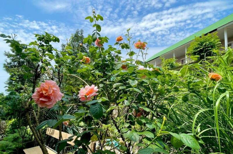 Изображение Изображение гостиницы &quot;Гостевой дом на Ростовской 5&quot; #6 #6