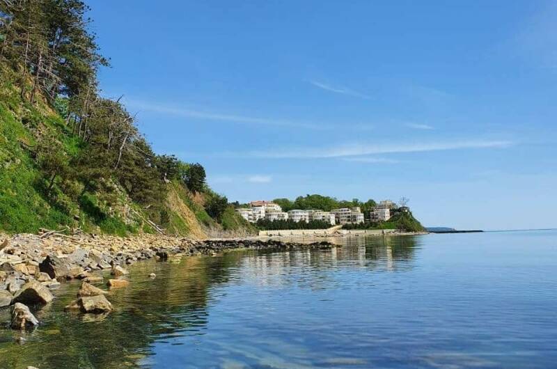 Изображение Изображение квартиры &quot;Апартаменты «Сосновый берег»&quot; #2 #2