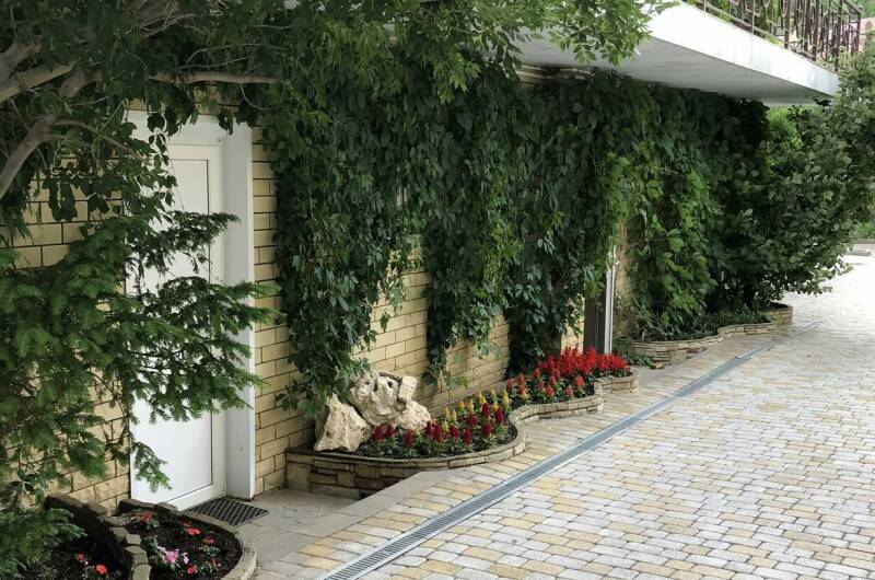 Изображение Изображение отеля / гостиницы "Гостевой дом «Горный воздух»" #11 #9