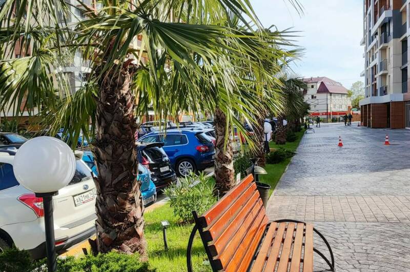 Изображение Изображение квартиры &quot;Апартаменты-студия у моря&quot; #5 #5