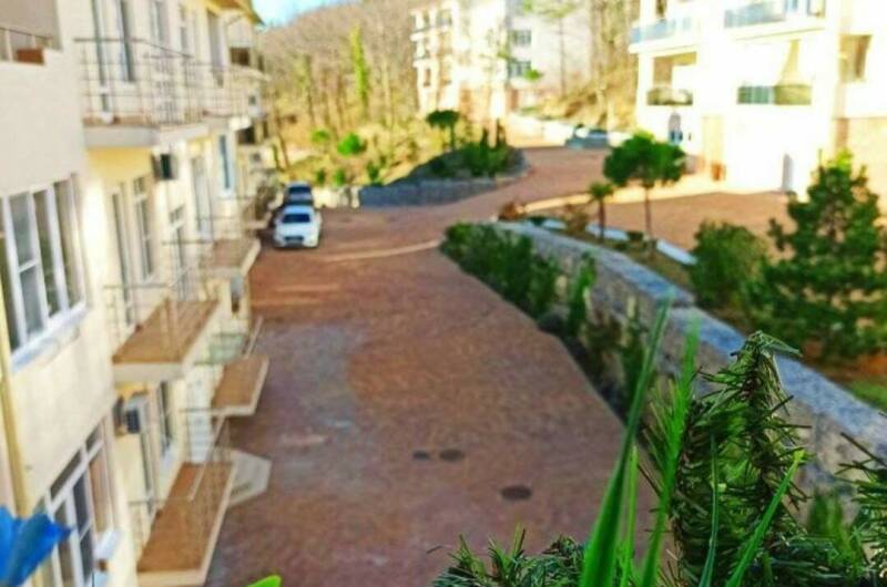 Изображение Изображение квартиры &quot;Апартаменты «Сосновый берег»&quot; #6 #6