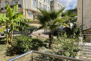 Изображение квартиры "Квартира «Прохладная долина»"