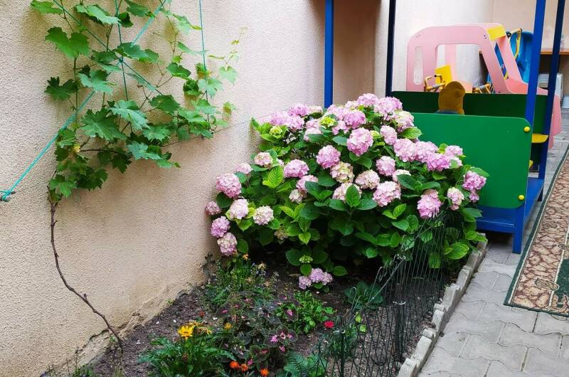 Изображение Изображение гостиницы &quot;Гостевой дом «Лайза»&quot; #2 #2