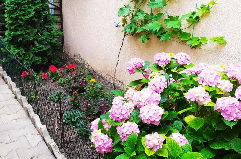 Изображение Изображение гостиницы &quot;Гостевой дом «Лайза»&quot; #4 #4