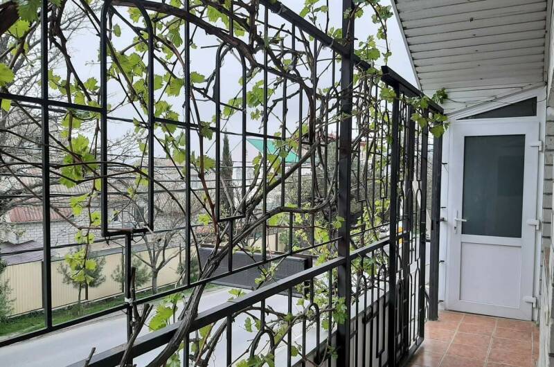 Изображение Изображение гостиницы &quot;Гостевой дом «Светлана»&quot; #2 #2