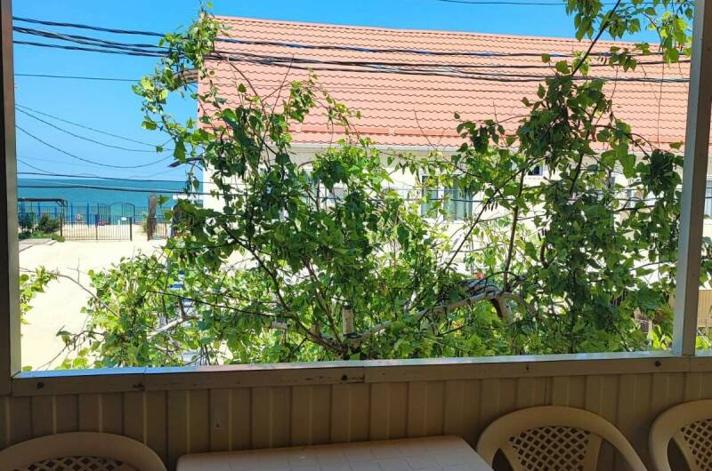 Изображение Изображение гостиницы &quot;Гостевой дом «Тортуга»&quot; #5 #5