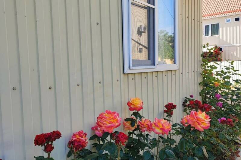 Изображение Изображение гостиницы &quot;Гостевой дом «Тортуга»&quot; #6 #6