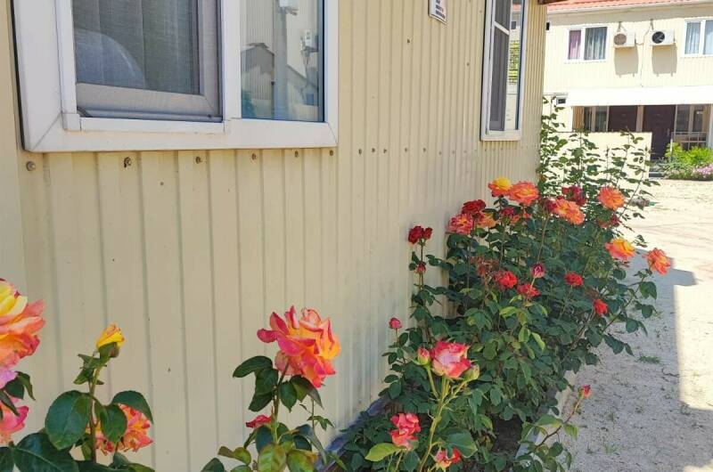 Изображение Изображение гостиницы &quot;Гостевой дом «Тортуга»&quot; #7 #7